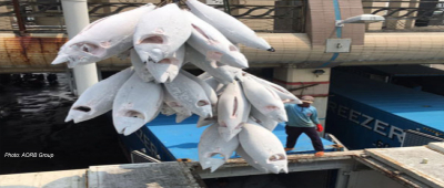 'Gov&rsquo;t provides funding to help deep sea fishing industry players'